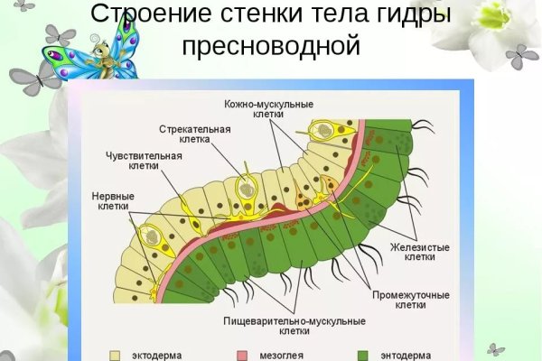 Аналог гидры