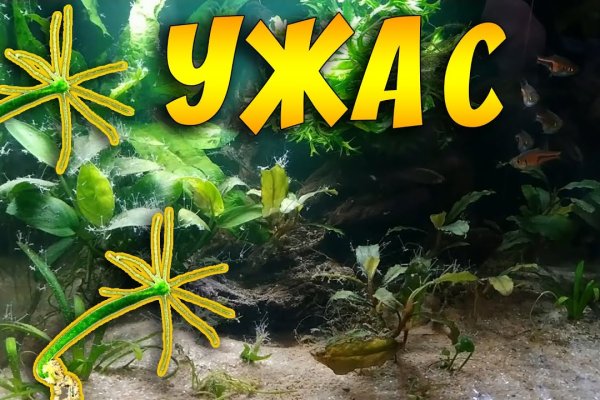 Что такое kraken в россии