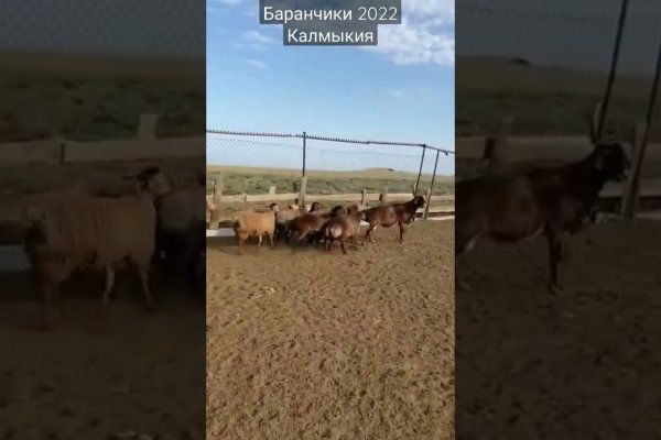 Кракен сайт бошки