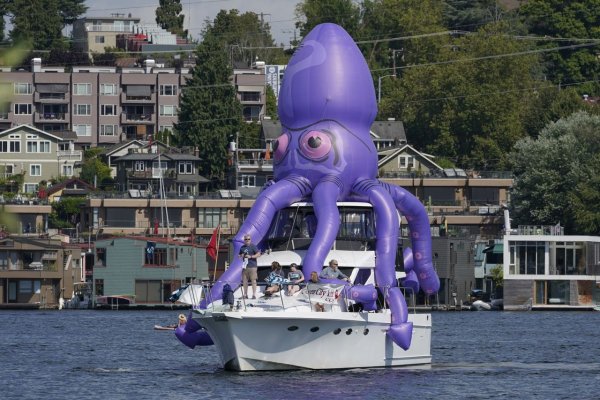 Kraken link