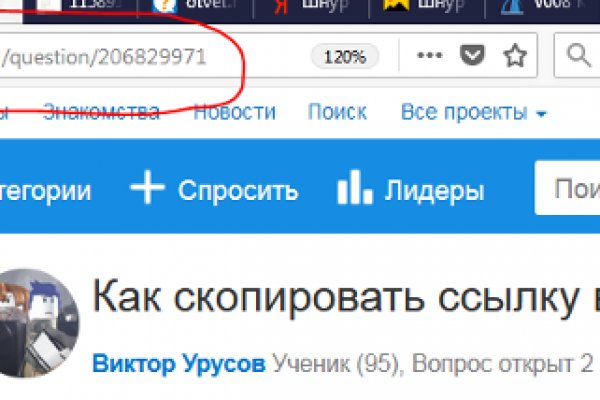 Ссылка на сайт кракен в тор браузере