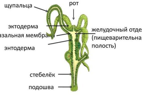 Kra45.at