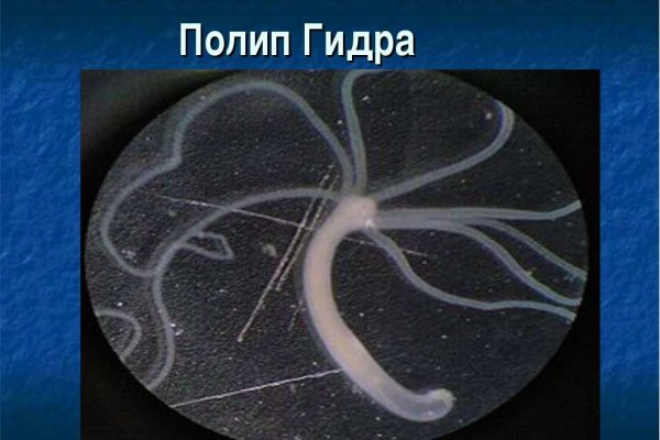 Кракен даркнет рабочая