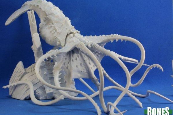 Kraken 17 at