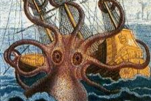 Kraken 6 at