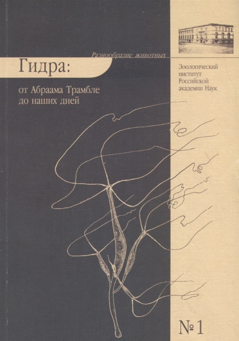 Как купить наркотик в кракен