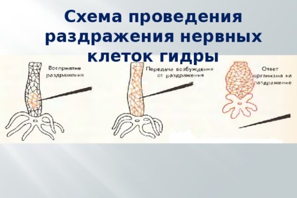 Кракен рабочая ссылка тор