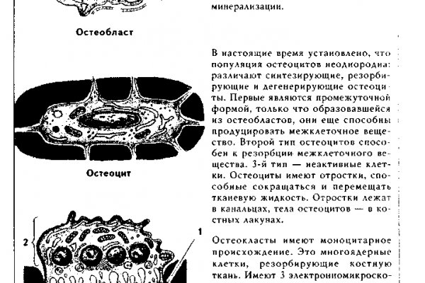 Ссылка на кракен onion kraken dark link